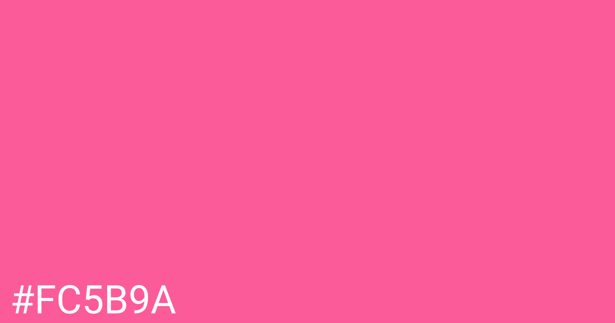 Hex color #fc5b9a graphic