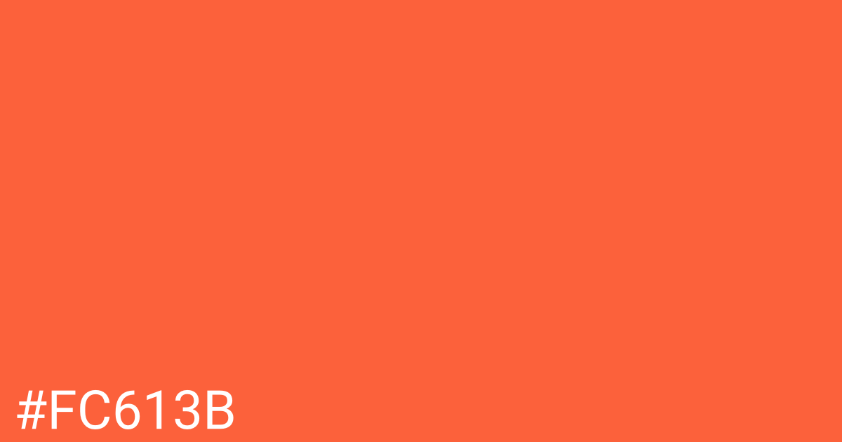 Hex color #fc613b graphic