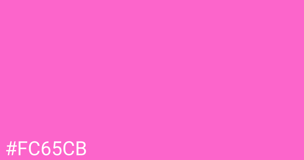 Hex color #fc65cb graphic