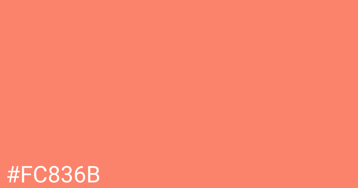 Hex color #fc836b graphic