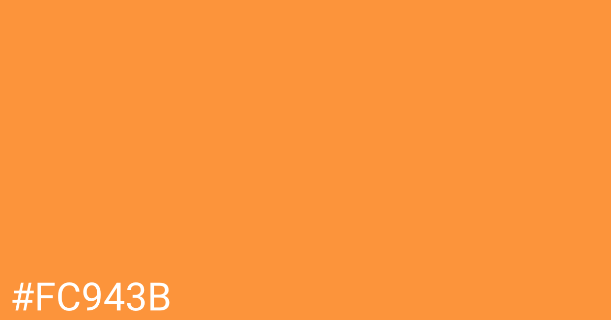 Hex color #fc943b graphic