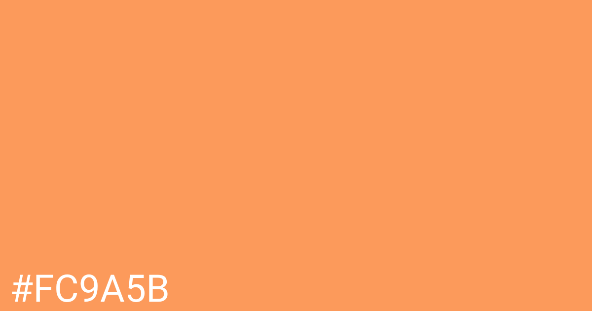 Hex color #fc9a5b graphic
