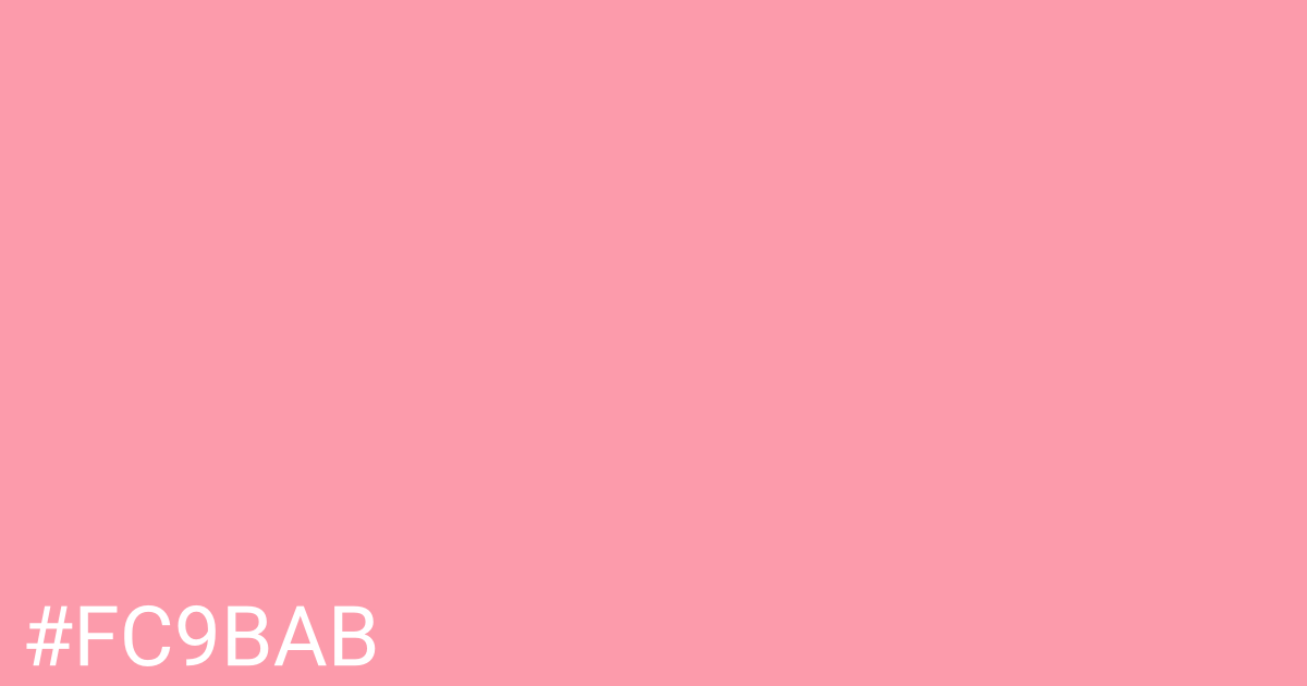 Hex color #fc9bab graphic