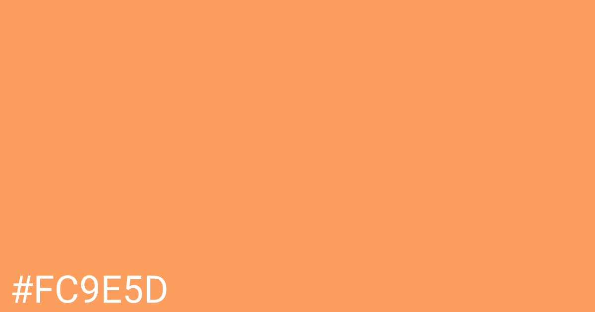 Hex color #fc9e5d graphic