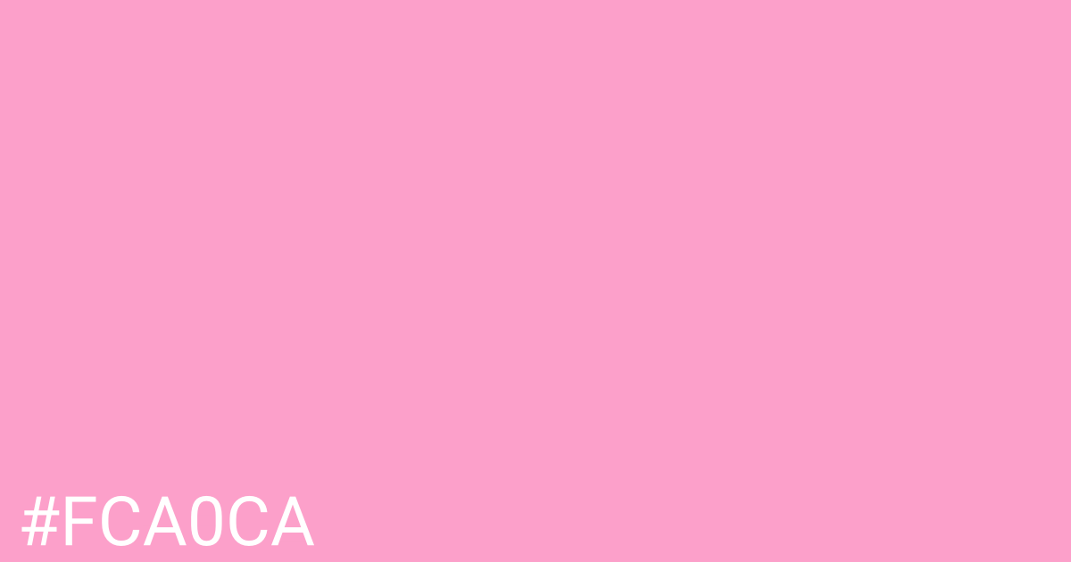 Hex color #fca0ca graphic