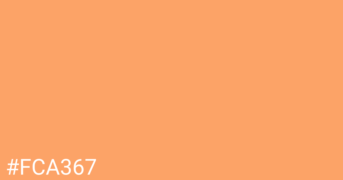 Hex color #fca367 graphic