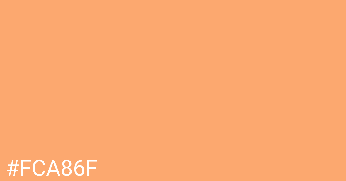 Hex color #fca86f graphic