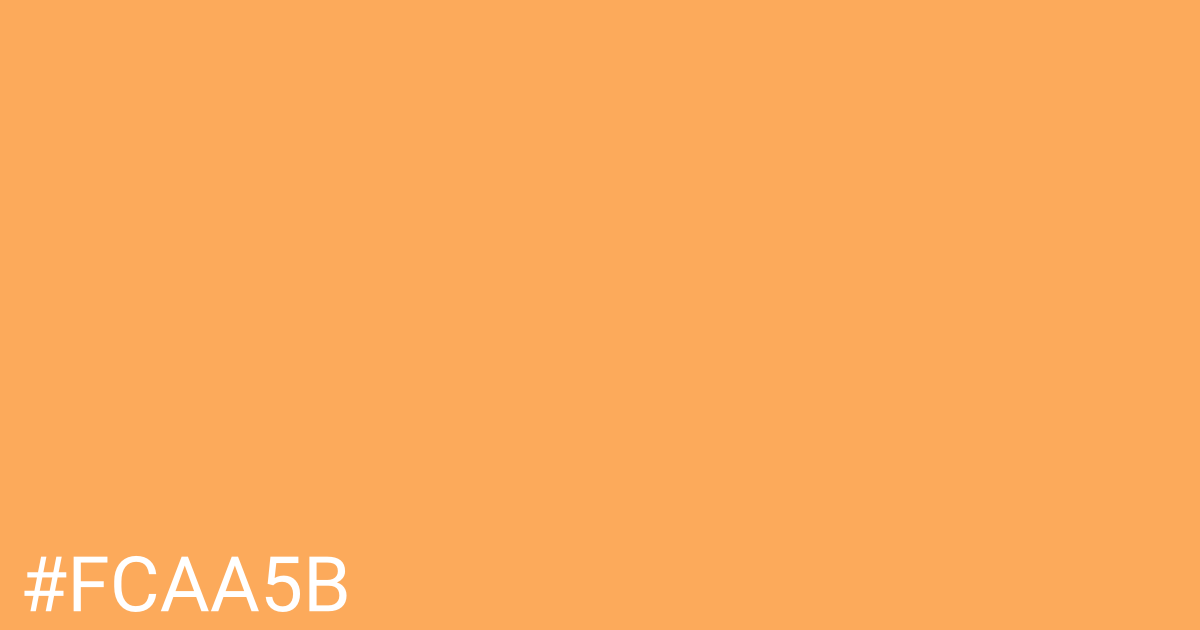 Hex color #fcaa5b graphic