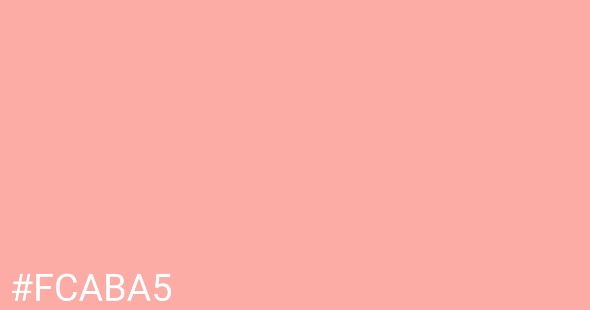 Hex color #fcaba5 graphic