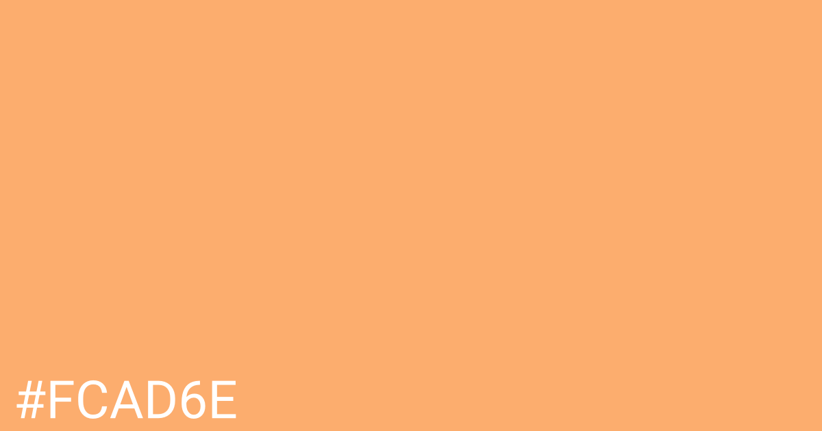 Hex color #fcad6e graphic