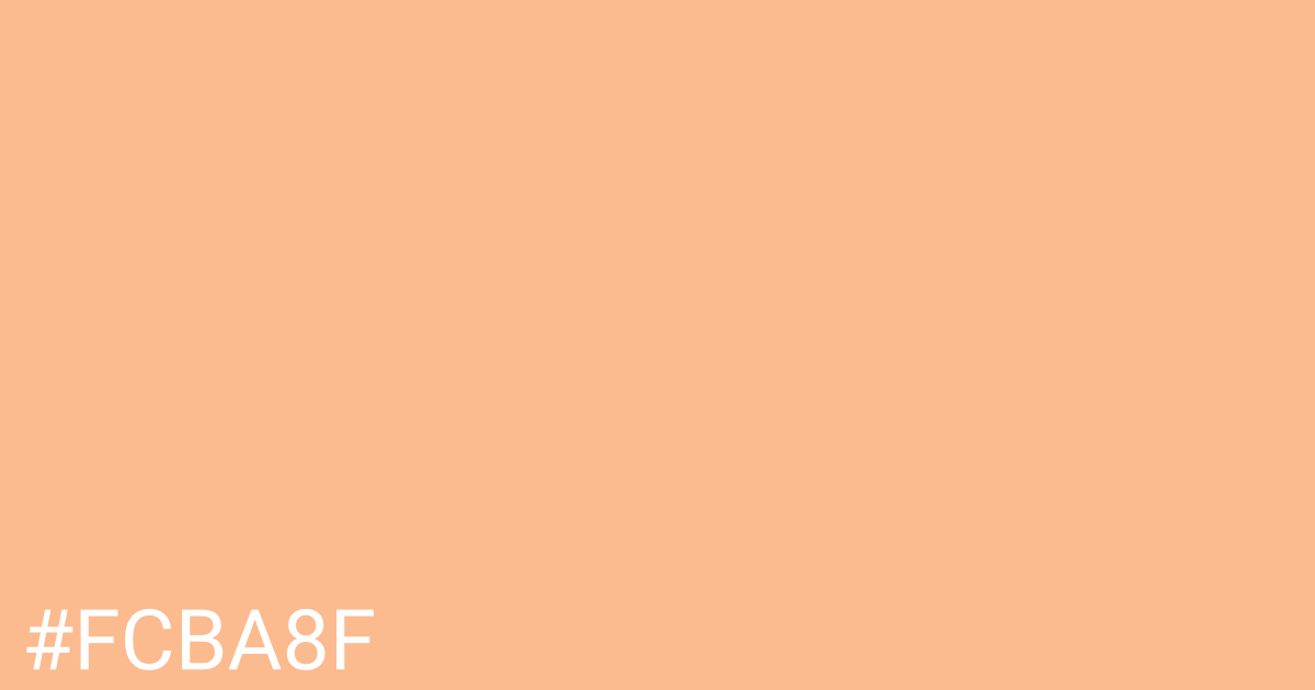 Hex color #fcba8f graphic