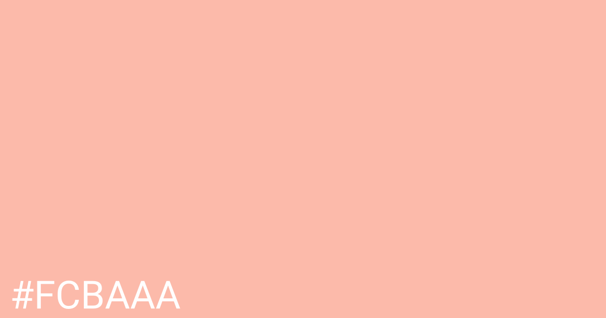 Hex color #fcbaaa graphic