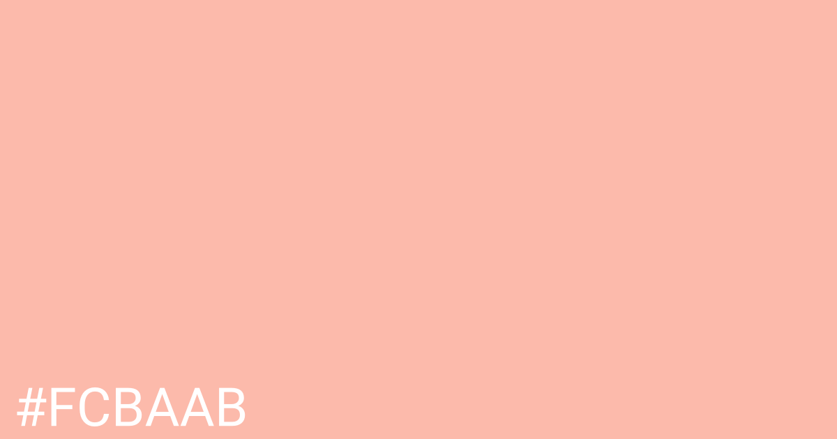 Hex color #fcbaab graphic