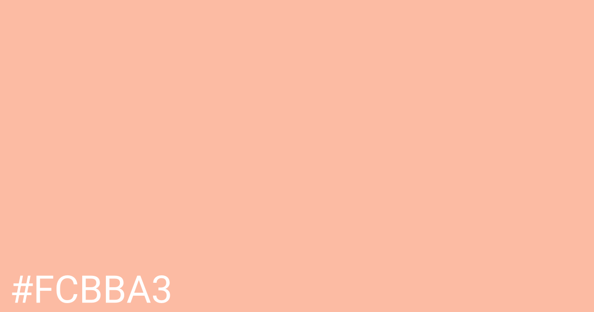 Hex color #fcbba3 graphic