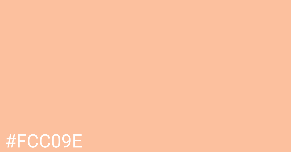 Hex color #fcc09e graphic
