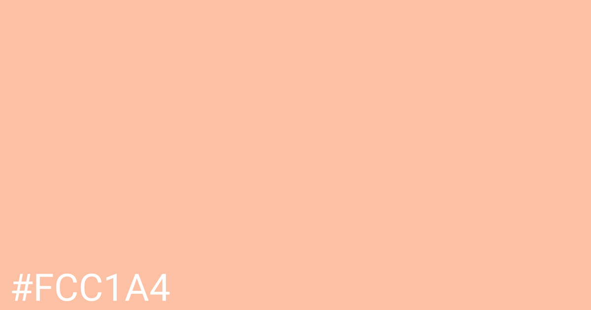 Hex color #fcc1a4 graphic
