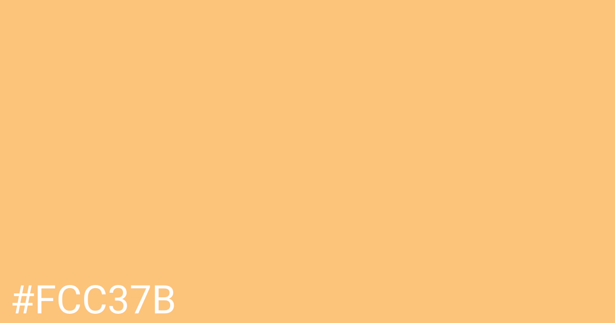 Hex color #fcc37b graphic