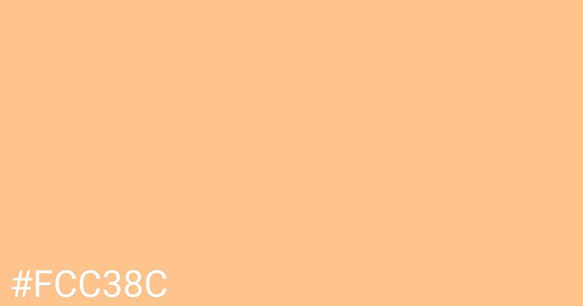 Hex color #fcc38c graphic