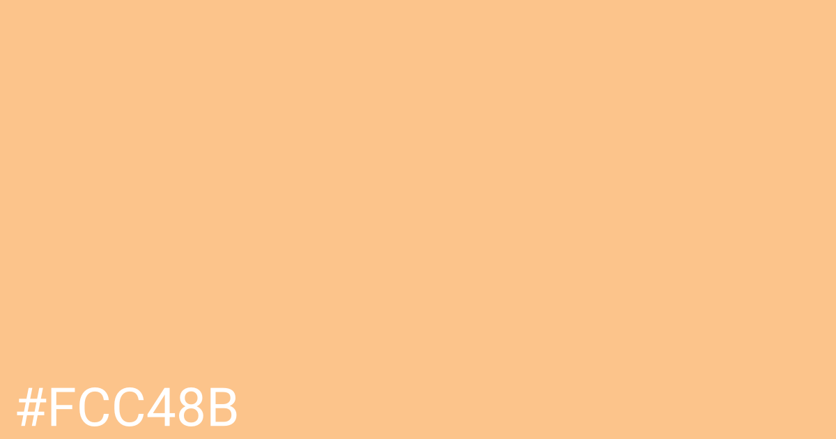 Hex color #fcc48b graphic
