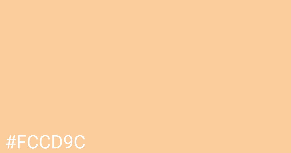 Hex color #fccd9c graphic