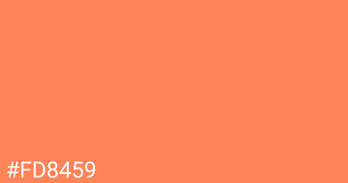 Hex color #fd8459 graphic