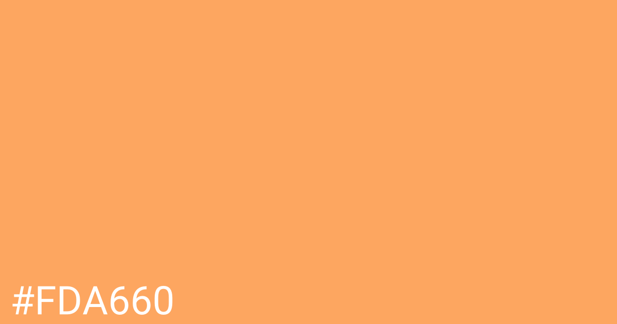 Hex color #fda660 graphic