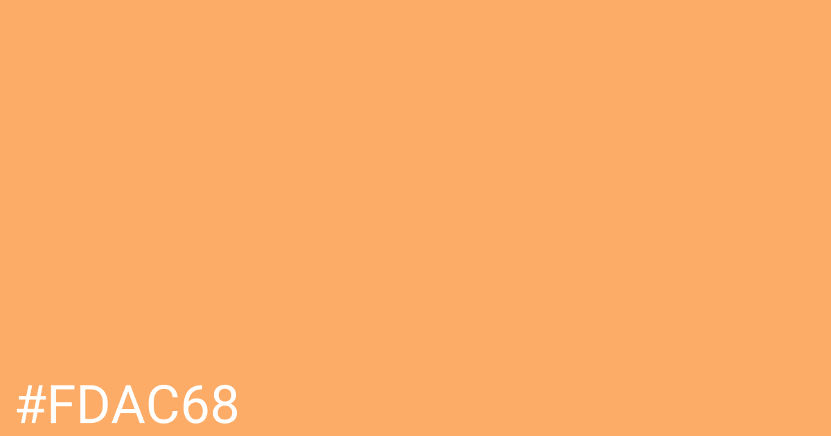Hex color #fdac68 graphic