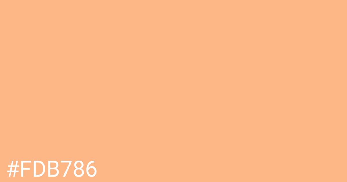 Hex color #fdb786 graphic