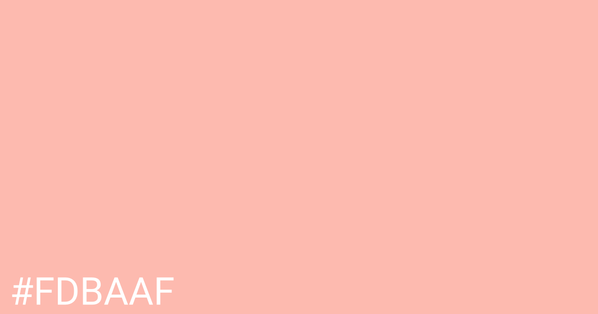 Hex color #fdbaaf graphic