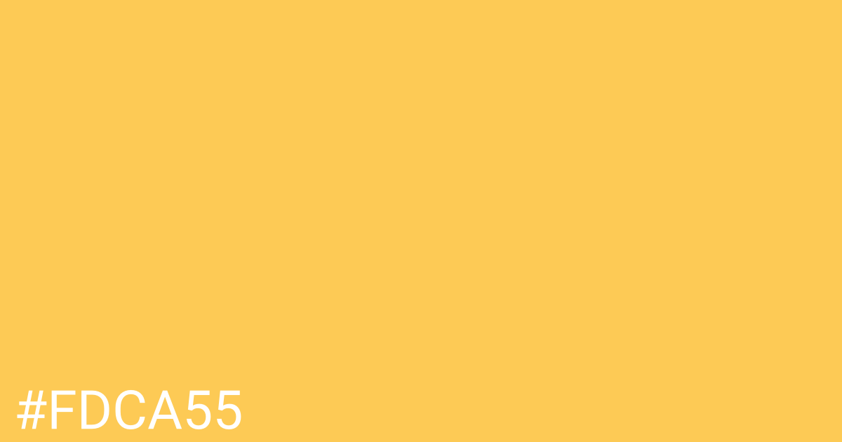 Hex color #fdca55 graphic