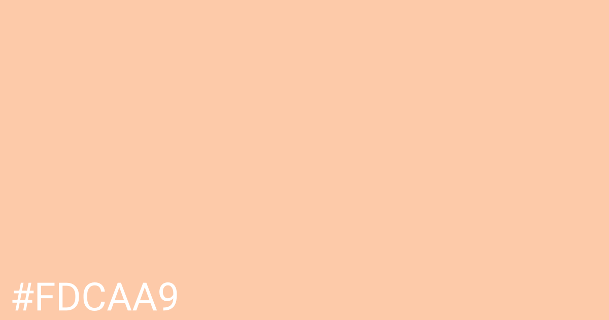 Hex color #fdcaa9 graphic