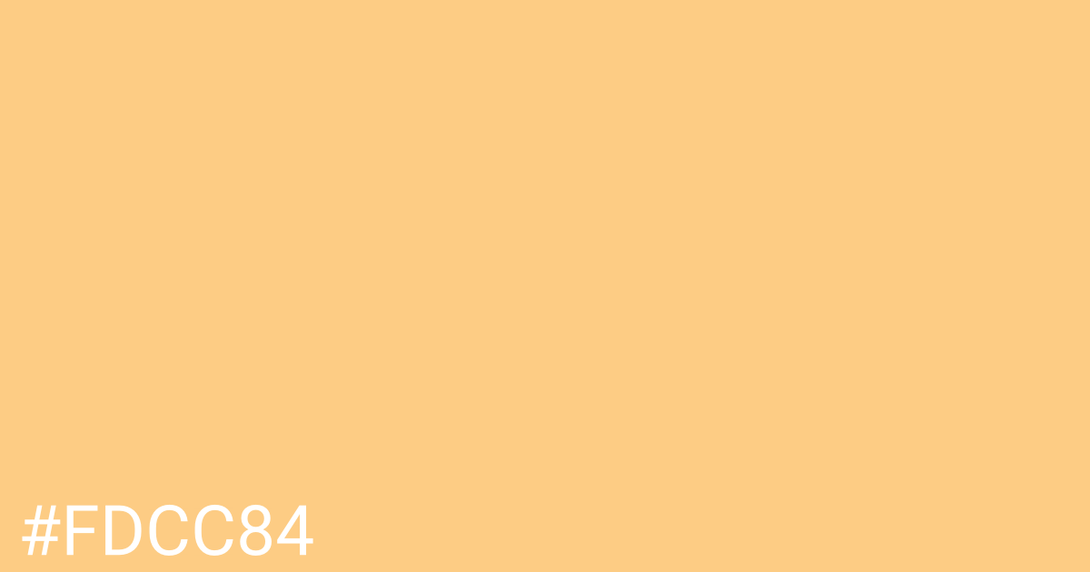 Hex color #fdcc84 graphic