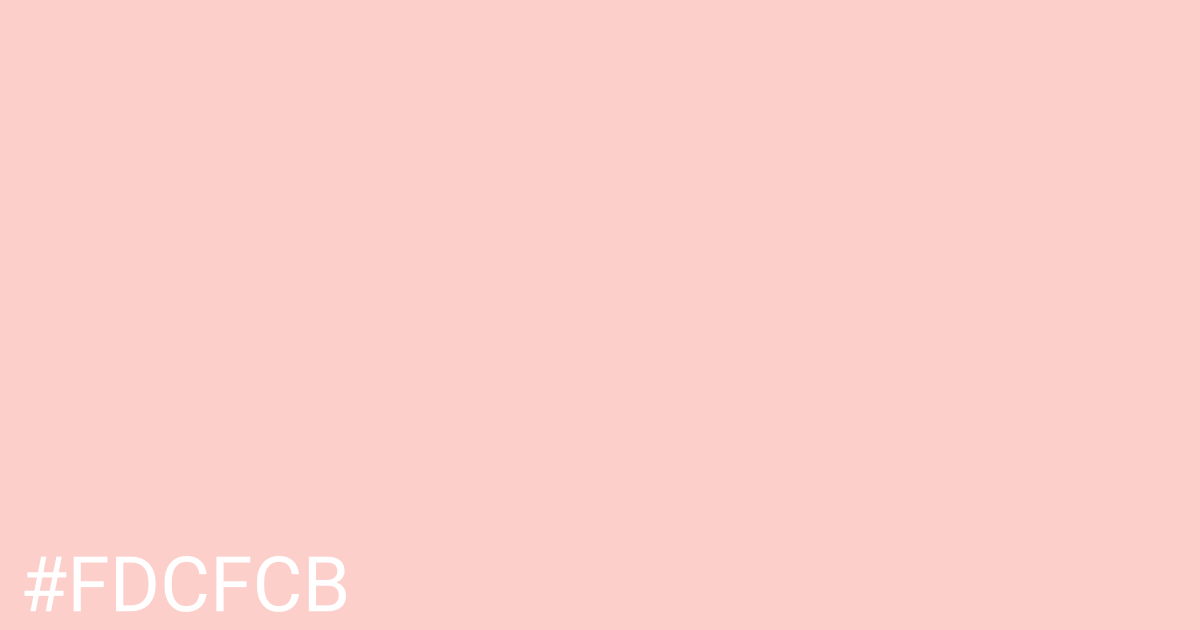 Hex color #fdcfcb graphic