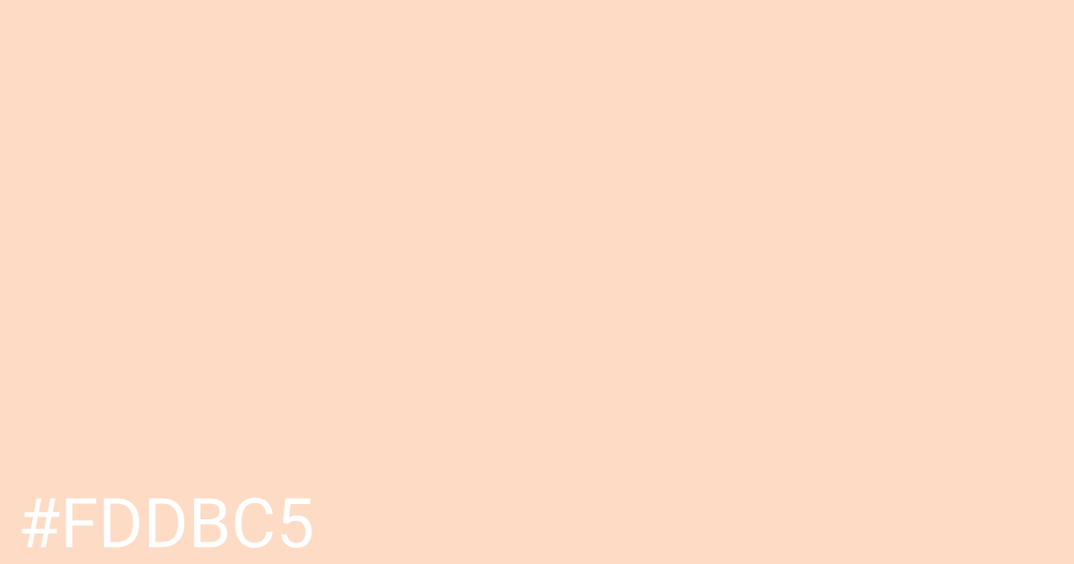 Hex color #fddbc5 graphic