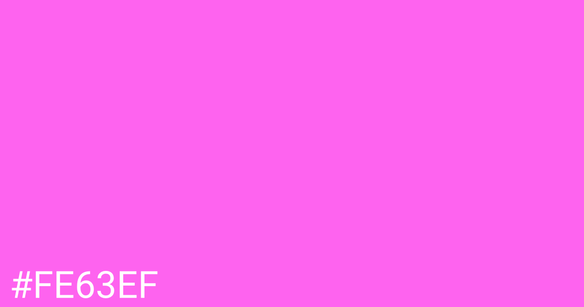 Hex color #fe63ef graphic