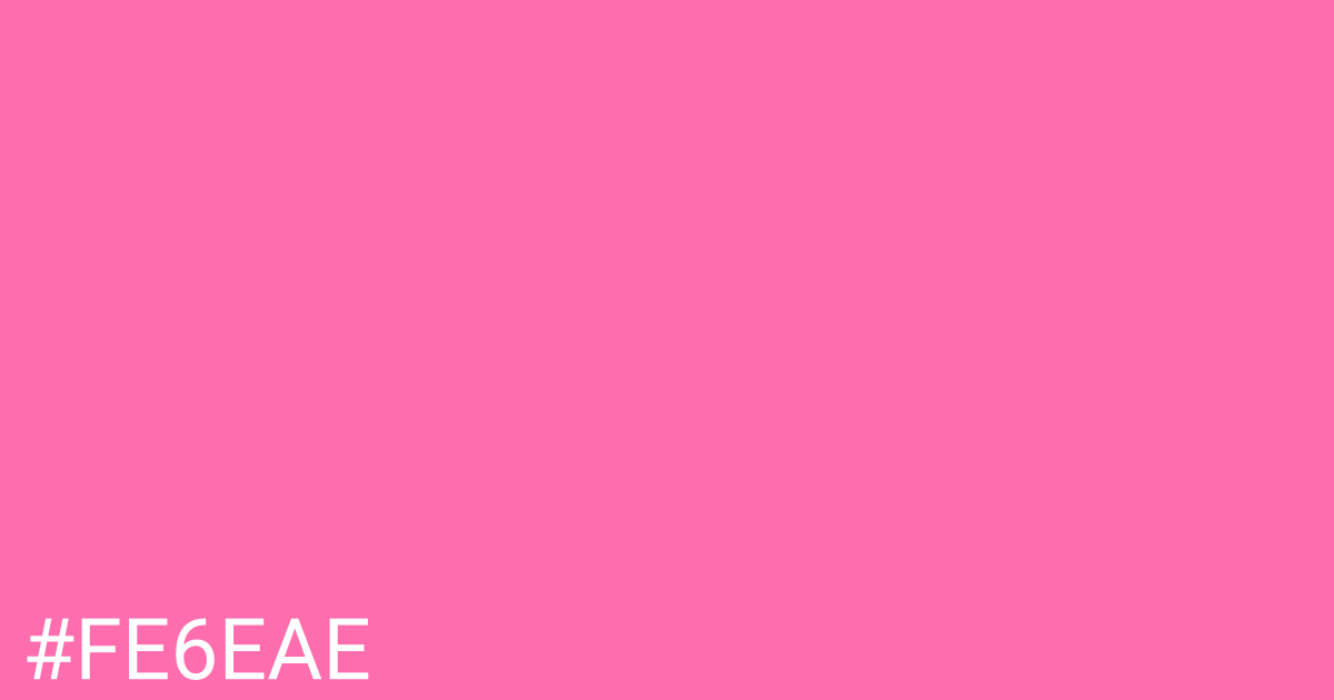 Hex color #fe6eae graphic