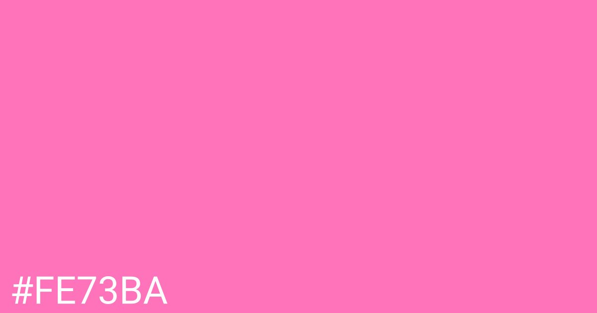 Hex color #fe73ba graphic