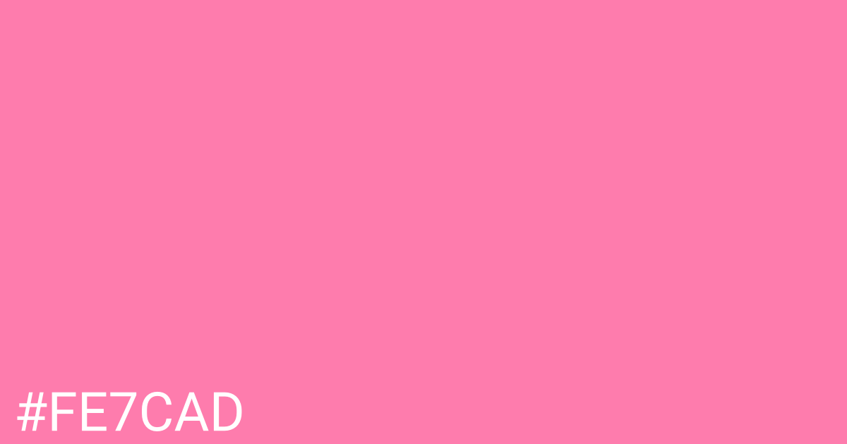 Hex color #fe7cad graphic