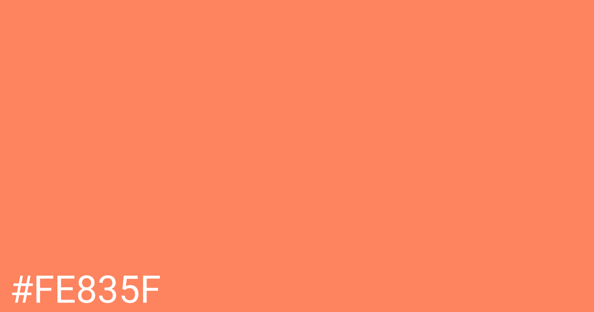 Hex color #fe835f graphic