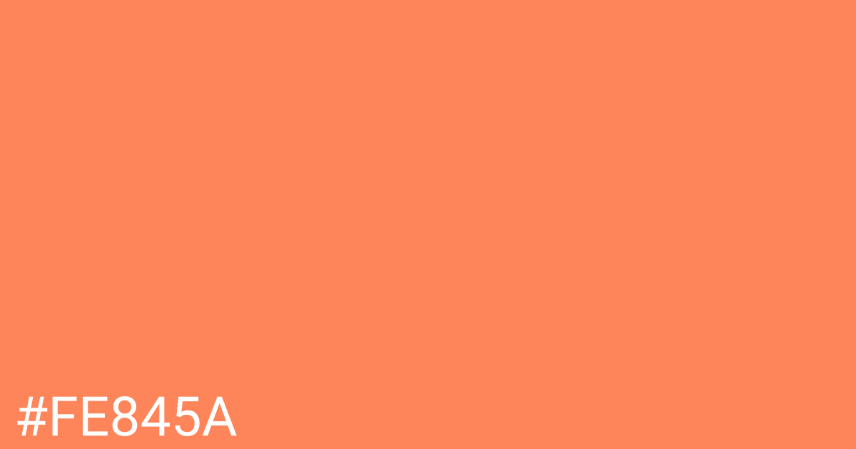 Hex color #fe845a graphic