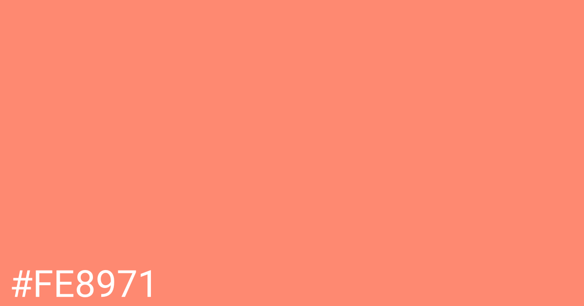 Hex color #fe8971 graphic