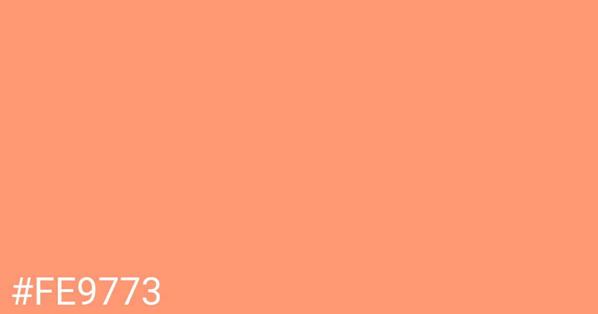 Hex color #fe9773 graphic