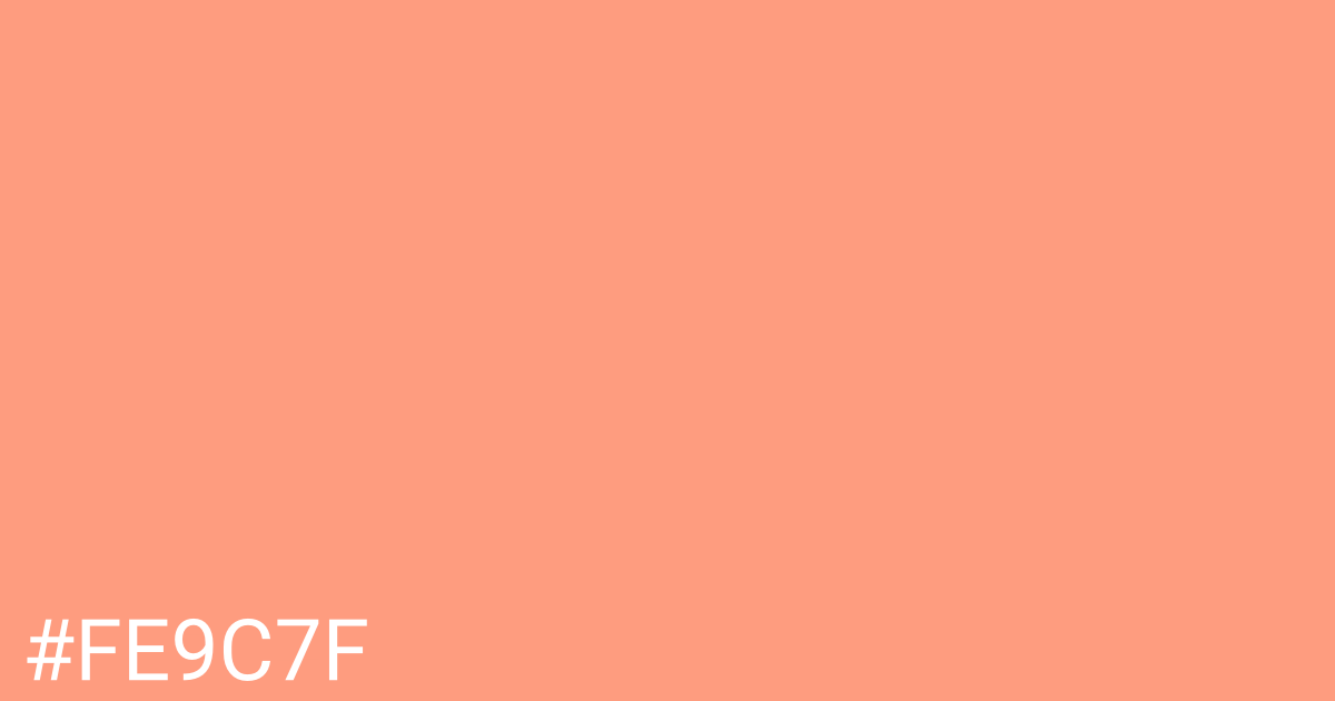 Hex color #fe9c7f graphic