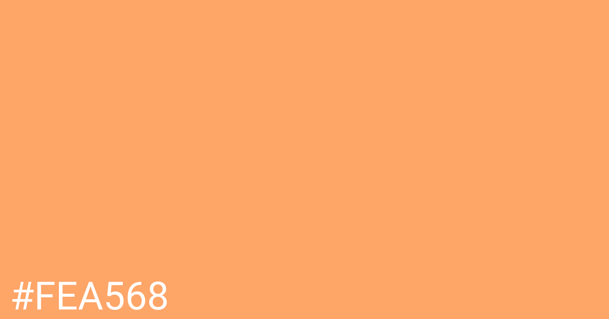 Hex color #fea568 graphic
