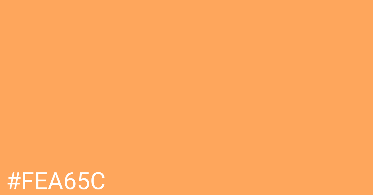 Hex color #fea65c graphic