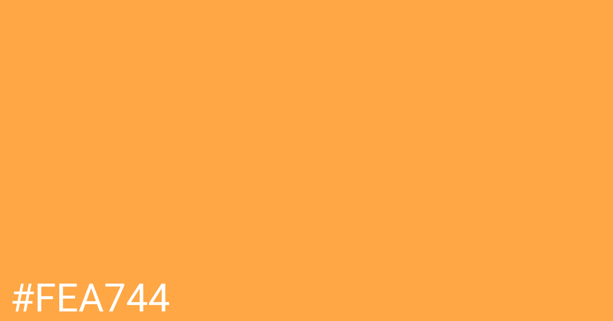 Hex color #fea744 graphic