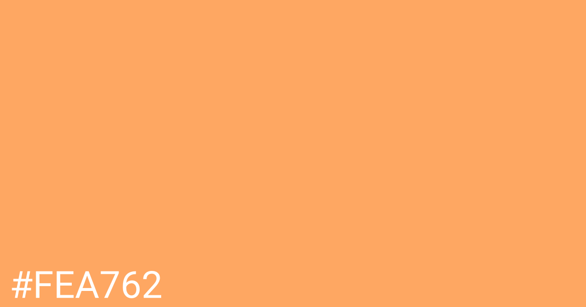 Hex color #fea762 graphic