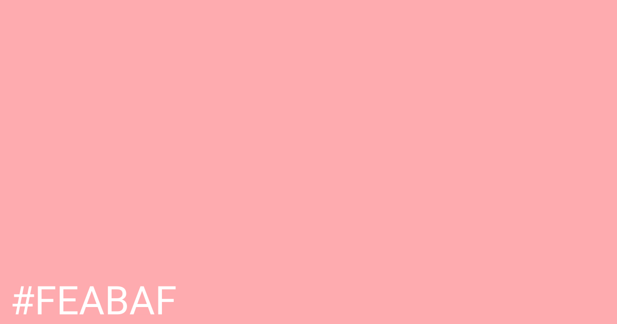 Hex color #feabaf graphic