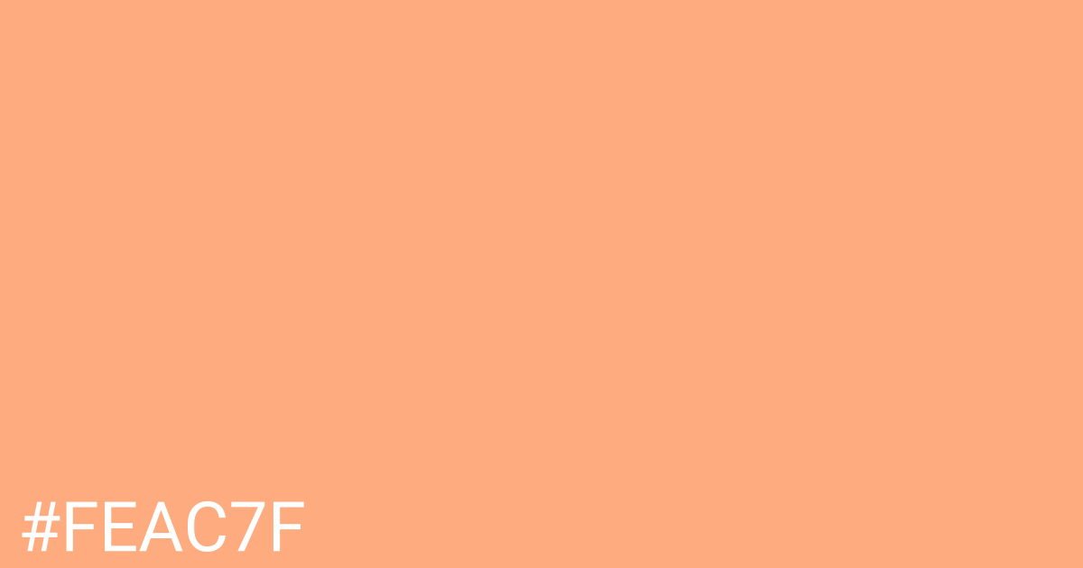 Hex color #feac7f graphic