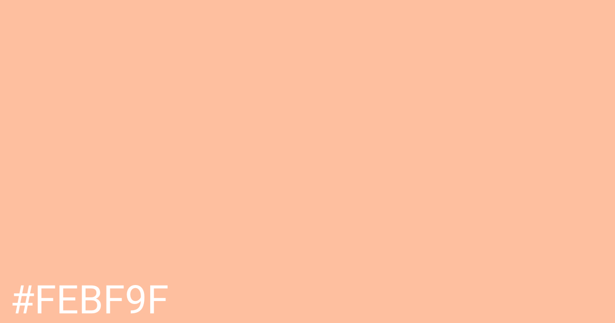 Hex color #febf9f graphic